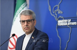 Iran hối thúc Mỹ đưa ra đảm bảo chính thức về dỡ bỏ trừng phạt