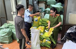Tiêu hủy nhiều bao gạo và bao bì xâm phạm nhãn hiệu gạo ST25