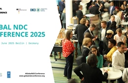 Hội nghị NDC toàn cầu 2025 thúc đẩy hợp tác quốc tế ứng phó với biến đổi khí hậu