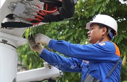 Điện lực Lào Cai lên kế hoạch ứng phó khi xảy ra sự cố thiên tai