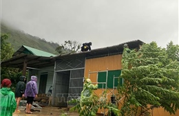 Bão số 1: Kon Tum khẩn trương khắc phục thiệt hại