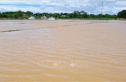Bắc Trung Bộ còn 24.700 ha sản xuất nông nghiệp vẫn bị ngập úng
