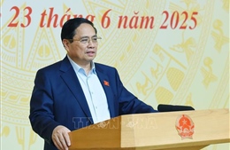 Thủ tướng : Mỗi ngày đều là cao điểm chống buôn lậu, gian lận thương mại, hàng giả