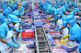 Kỳ vọng từ thị trường Halal với nông sản Việt
