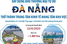 Thông tin về xây dựng Khu thương mại tự do Đà Nẵng