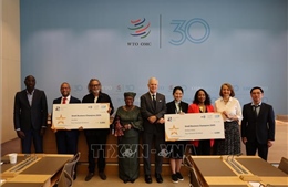 WTO vinh danh công ty NetZero Pallet của Việt Nam