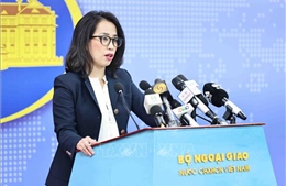 Họp báo thường kỳ Bộ Ngoại giao: Cụ thể hóa nội dung thảo luận của Lãnh đạo Cấp cao hai nước Việt Nam - Hoa Kỳ