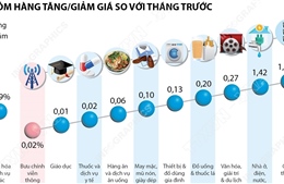 CPI tháng 6/2025 tăng 0,48%
