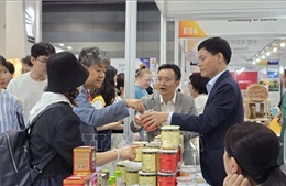 Các doanh nghiệp hàng Việt Nam chất lượng cao nỗ lực chinh phục thị trường Hàn Quốc