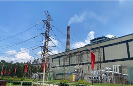 Nhiệt điện Phả Lại khẩn trương triển khai dự án Nhà máy điện linh hoạt