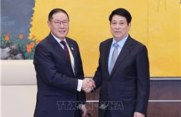 Chủ tịch nước Lương Cường tiếp Chủ tịch Hội đồng Tư vấn kinh doanh APEC 2025