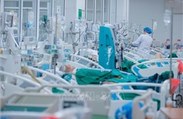 Lạm dụng rượu kéo dài dẫn tới xơ gan nặng, nhiều bệnh nhân nguy kịch