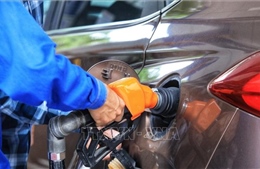 Sử dụng xăng E10 - Bước chuyển đổi năng lượng bền vững
