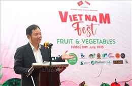 Sức hấp dẫn của trái cây Việt Nam tại Lễ hội trái cây - rau củ ở Singapore