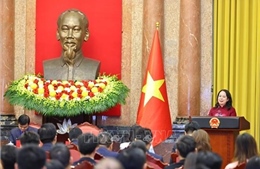 Phó Chủ tịch nước gặp mặt đại biểu tham gia Diễn đàn Trí thức trẻ Việt Nam toàn cầu