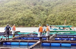 Quảng Ninh: Di dời 7.518 người ở các khu nuôi trồng thủy sản lên bờ an toàn