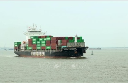 Tổng kiểm soát, xử lý phương tiện kinh doanh vận tải trên đường bộ và đường thủy