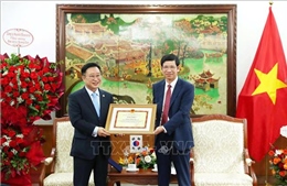 Đại sứ Du lịch Việt Nam tại Hàn Quốc: Nỗ lực thúc đẩy hợp tác, phát triển du lịch giữa hai quốc gia