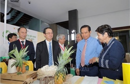 Triển lãm 100 mô hình, sản phẩm xanh - tái chế - tuần hoàn