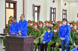 Tuyên án đường dây lừa đảo bất động sản với 967 bị hại