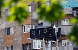 Romania ban bố báo động đỏ do nắng nóng kéo dài
