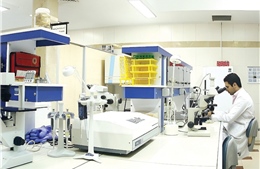 Iran đạt bước tiến đáng kể trong phát triển tế bào gốc và liệu pháp tế bào