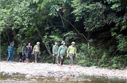 Giữ nguồn tài nguyên rừng quý giá - Bài 1: Phát triển sinh kế xanh