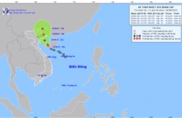 Chủ động ứng phó với áp thấp nhiệt đới, mưa lớn ở Bắc Bộ, Bắc Trung Bộ