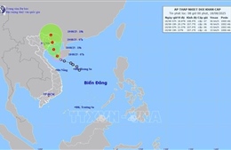 Từ tháng 9-11, khả năng bão, áp thấp nhiệt đới cao hơn trung bình nhiều năm