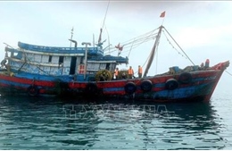 Cần Thơ ra quân cao điểm chống khai thác IUU