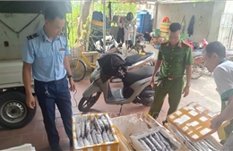 Tiêu hủy hơn 1.000 kg các loại côn trùng không rõ nguồn gốc xuất xứ