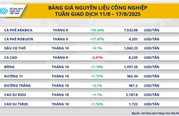 Từ cà-phê đến dầu thô: Thuế quan tiếp tục chi phối diễn biến giá hàng hóa 