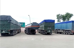 Xử lý nghiêm các trường hợp xe chở cát quá tải gần 300%