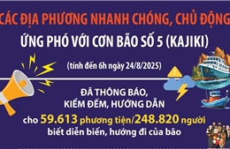 Các địa phương nhanh chóng, chủ động ứng phó với bão số 5