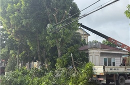 Ứng phó bão số 5: Đảm bảo lưới điện vận hành an toàn trong mọi tình huống