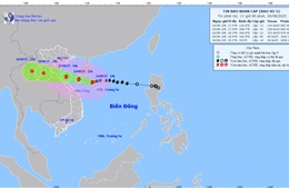 Nhiều trường học ở Nghệ An lùi thời gian tựu trường do ảnh hưởng bão số 5