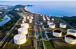 Giao quyền sử dụng 442 ha khu vực biển cho Công ty Cổ phần Lọc hóa dầu Bình Sơn