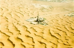 Tổ quốc trong tim những người con Việt nơi sa mạc Sahara