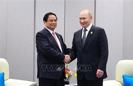 Thủ tướng Phạm Minh Chính hội kiến Tổng thống Nga Vladimir Putin