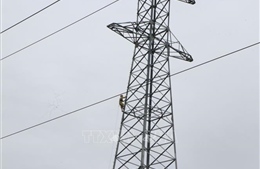 Chấp thuận chủ trương đầu tư dự án đường dây 220kV Phong Thổ - Than Uyên