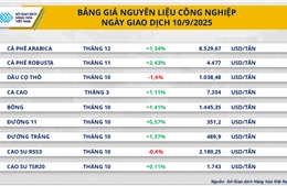Thị trường hàng hóa tiếp tục giữ sắc xanh, MXV-Index nối dài chuỗi tăng