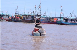 Khắc phục &#39;thẻ vàng&#39; IUU: Xử lý vi phạm về thiết bị giám sát hành trình tàu cá