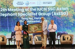 Liên minh Bảo tồn thiên nhiên quốc tế bàn giải pháp bảo tồn voi châu Á 