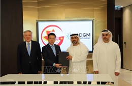 Việt Nam - UAE thúc đẩy hơn nữa quan hệ hợp tác nhiều mặt