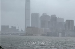 Trung Quốc: Bão Ragasa gây ngập lụt tại một số khu vực ở Hong Kong và Macau