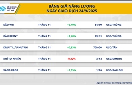 Đồng COMEX kéo thị trường kim loại, MXV-Index thêm một phiên xanh