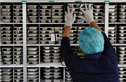 Indonesia loại bỏ thực phẩm công nghiệp khỏi bữa ăn học đường
