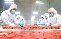 Khai mở thị trường Halal cho biên giới Tây Nam và vùng Đồng bằng sông Cửu Long