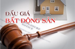 Đồng Nai đấu giá thành công lô đất đầu tiên sau 5 năm
