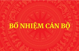 Phê chuẩn 2 Phó Chủ tịch UBND tỉnh Quảng Ngãi nhiệm kỳ 2021-2026